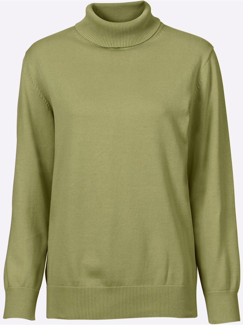 Pull à col roulé pur coton et manches longues - taille standard - witt Vert - Kiabi