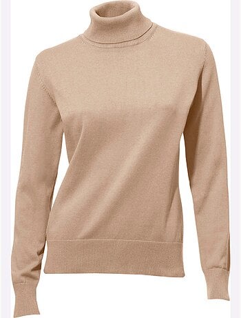 Pull à Col Roulé Superbe Basique Facile à Associer - Taille Standard - helline