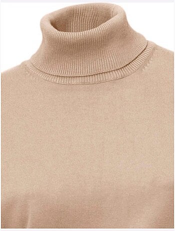 Pull à Col Roulé Superbe Basique Facile à Associer - Taille Standard - helline