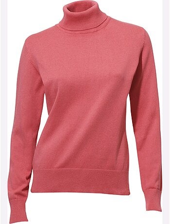 Pull à Col Roulé Superbe Basique Facile à Associer - Taille Standard - helline