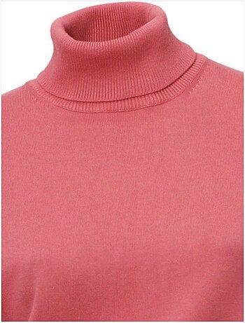 Pull à Col Roulé Superbe Basique Facile à Associer - Taille Standard - helline