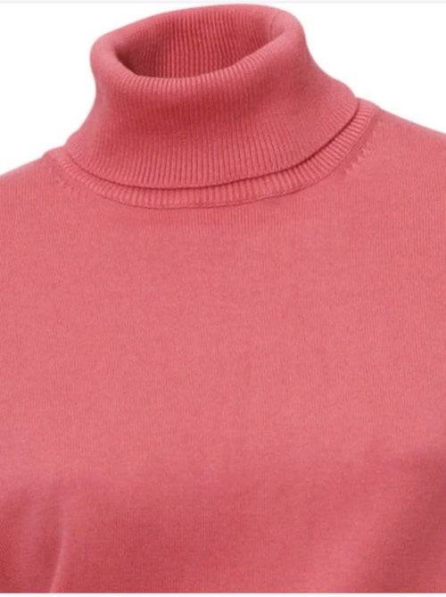 Pull à Col Roulé Superbe Basique Facile à Associer - Taille Standard - helline - Kiabi