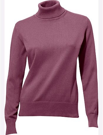 Pull à Col Roulé Superbe Basique Facile à Associer - Taille Standard - helline