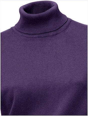 Pull à Col Roulé Superbe Basique Facile à Associer - Taille Standard - helline