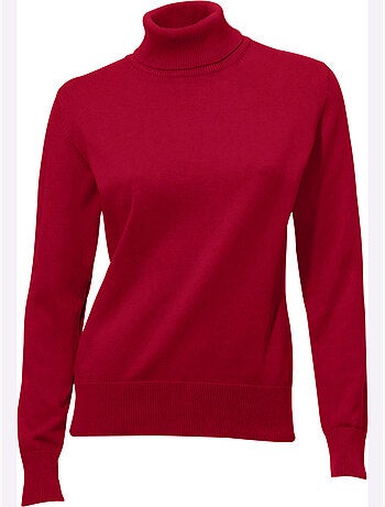Pull à Col Roulé Superbe Basique Facile à Associer - Taille Standard - helline