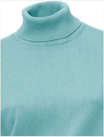 Pull à Col Roulé Superbe Basique Facile à Associer - Taille Standard - helline