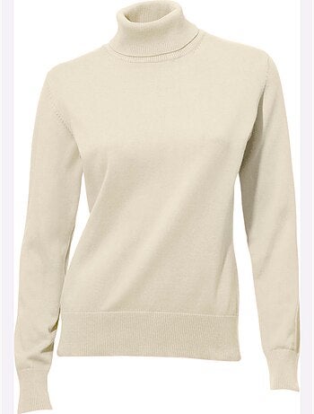 Pull à Col Roulé Tricot Fin Et Doux - Taille Standard - Helline