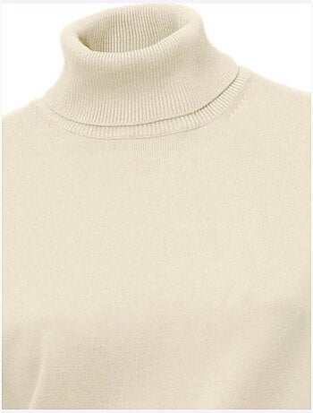 Pull à Col Roulé Tricot Fin Et Doux - Taille Standard - Helline