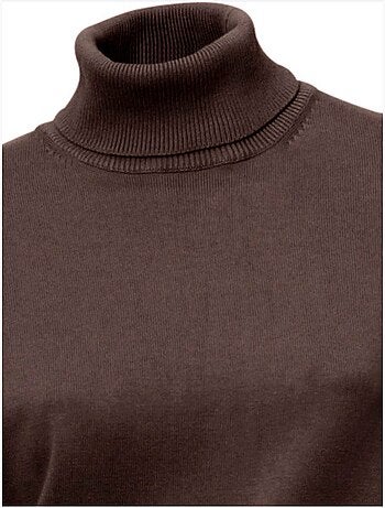 Pull à Col Roulé Tricot Fin Et Doux - Taille Standard - Helline