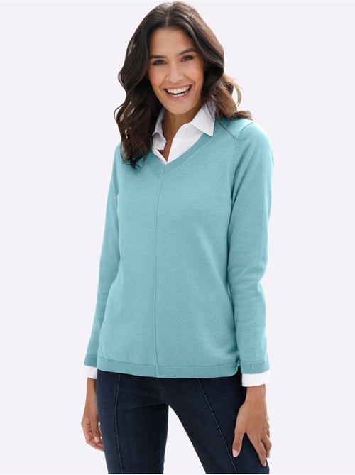 Pull à encolure en v 100% coton pima - taille standard - witt - Kiabi