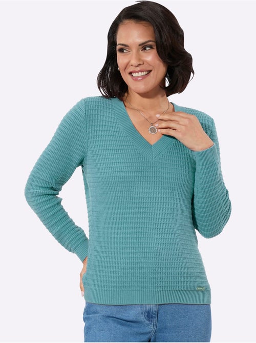 Pull à Encolure En V Pur Coton - Taille Standard - Witt - Kiabi Pull à Encolure En V Pur Coton - Taille Standard - Witt - Kiabi