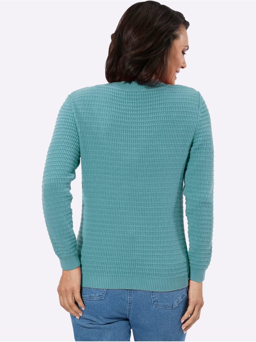 Pull à Encolure En V Pur Coton - Taille Standard - Witt - Kiabi Pull à Encolure En V Pur Coton - Taille Standard - Witt - Kiabi