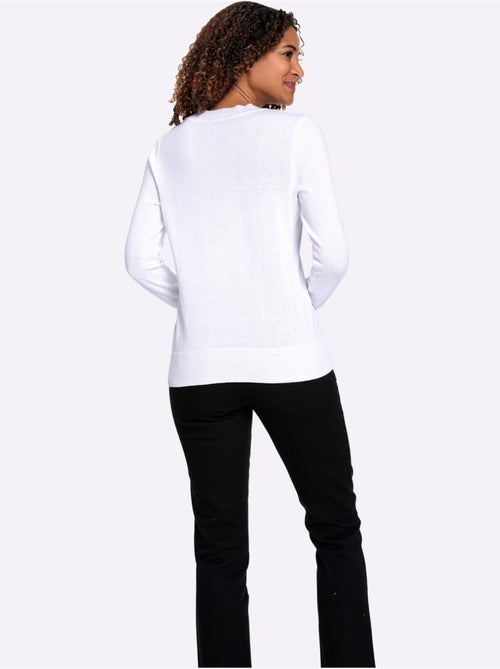 Pull à encolure en v pur coton - taille standard - witt - Kiabi Pull à encolure en v pur coton - taille standard - witt - Kiabi