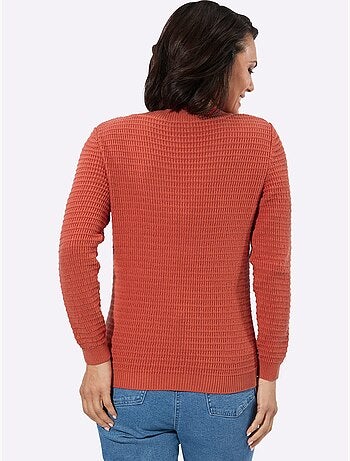 Pull à Encolure En V Pur Coton - Taille Standard - Witt