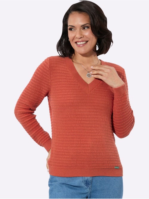 Pull à Encolure En V Pur Coton - Taille Standard - Witt - Kiabi Pull à Encolure En V Pur Coton - Taille Standard - Witt - Kiabi