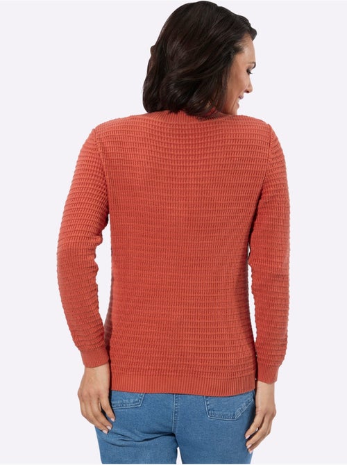 Pull à Encolure En V Pur Coton - Taille Standard - Witt - Kiabi Pull à Encolure En V Pur Coton - Taille Standard - Witt - Kiabi