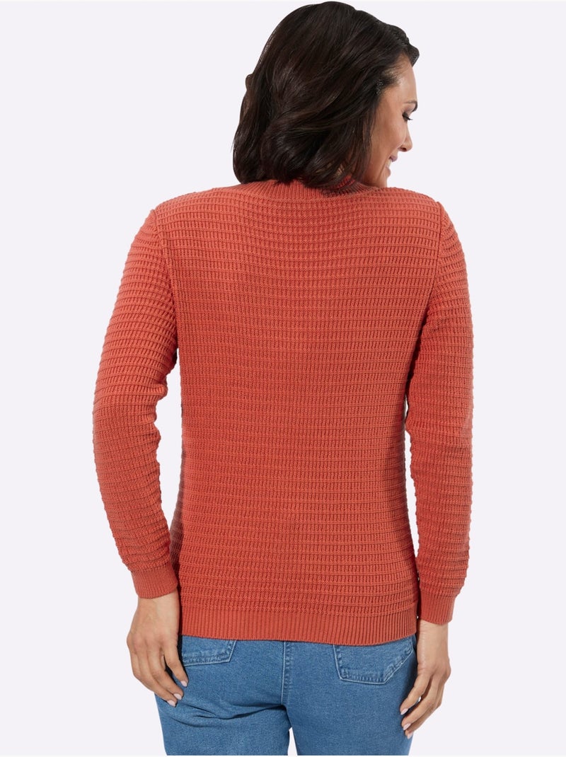 Pull à Encolure En V Pur Coton - Taille Standard - Witt Terre cuite - Kiabi