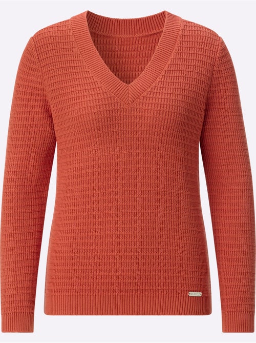 Pull à Encolure En V Pur Coton - Taille Standard - Witt - Kiabi Pull à Encolure En V Pur Coton - Taille Standard - Witt - Kiabi