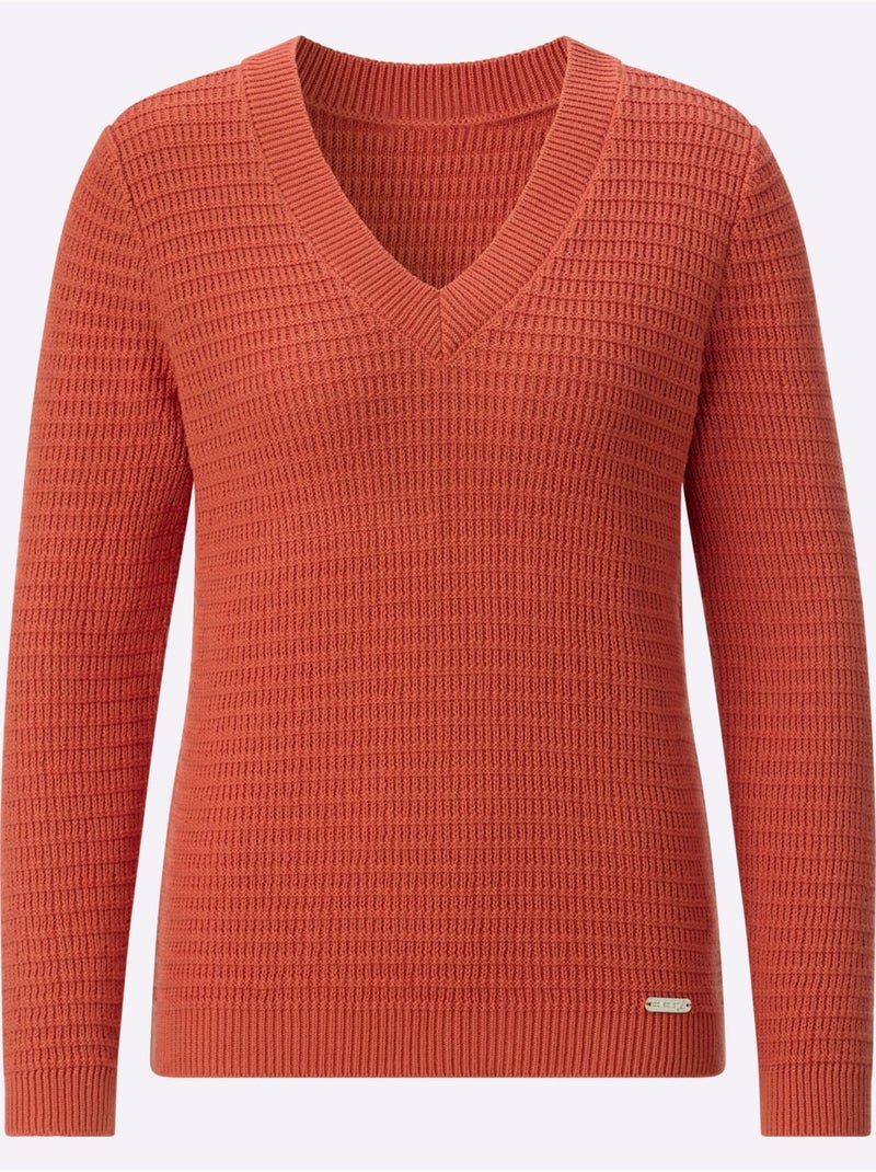 Pull à Encolure En V Pur Coton - Taille Standard - Witt Terre cuite - Kiabi
