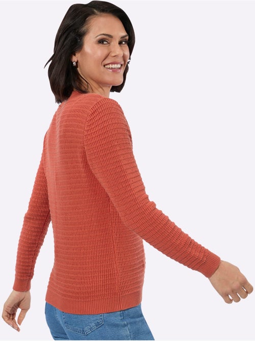 Pull à Encolure En V Pur Coton - Taille Standard - Witt - Kiabi Pull à Encolure En V Pur Coton - Taille Standard - Witt - Kiabi
