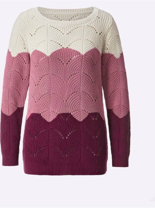 Pull à encolure ronde avec tricot ajouré et finitions côtelées - Taille standard - Moda Vilona - Kiabi