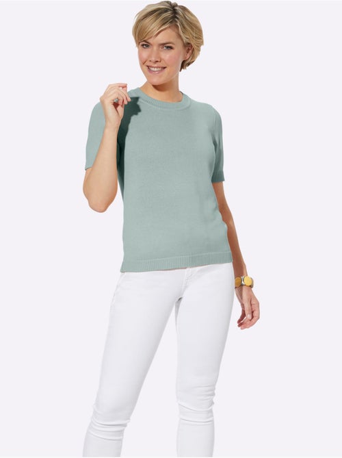 Pull à Manches Courtes 50% Coton - Taille Standard - Witt - Kiabi Pull à Manches Courtes 50% Coton - Taille Standard - Witt - Kiabi