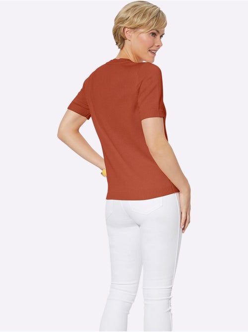 Pull à Manches Courtes 50% Coton - Taille Standard - Witt - Kiabi Pull à Manches Courtes 50% Coton - Taille Standard - Witt - Kiabi