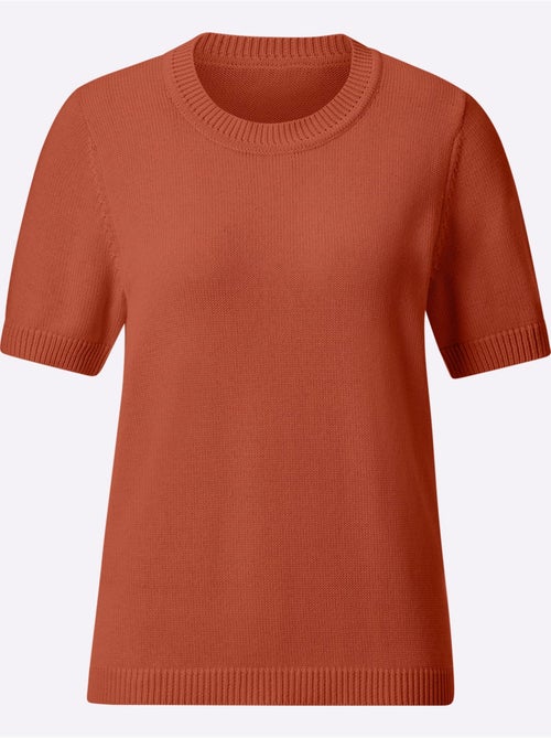 Pull à Manches Courtes 50% Coton - Taille Standard - Witt - Kiabi Pull à Manches Courtes 50% Coton - Taille Standard - Witt - Kiabi