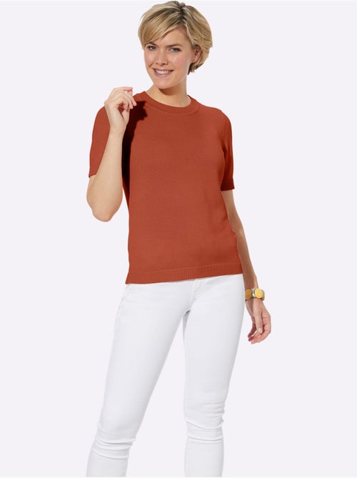 Pull à Manches Courtes 50% Coton - Taille Standard - Witt - Kiabi Pull à Manches Courtes 50% Coton - Taille Standard - Witt - Kiabi