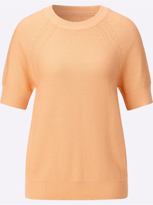 Pull à manches courtes avec encolure ronde et coutures accentuées - Taille standard - Witt - Kiabi Pull à manches courtes avec encolure ronde et coutures accentuées - Taille standard - Witt - Kiabi