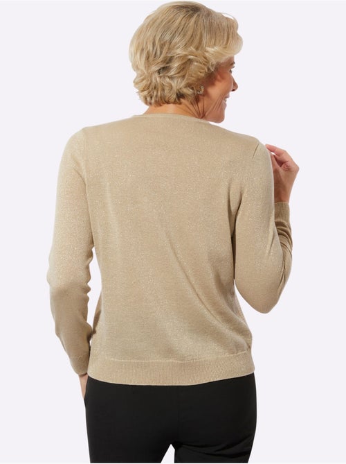 Pull à manches longues fil brillant - taille standard - witt - Kiabi Pull à manches longues fil brillant - taille standard - witt - Kiabi