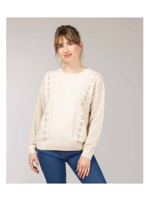 Pull ajouré grège Femme - Kiabi