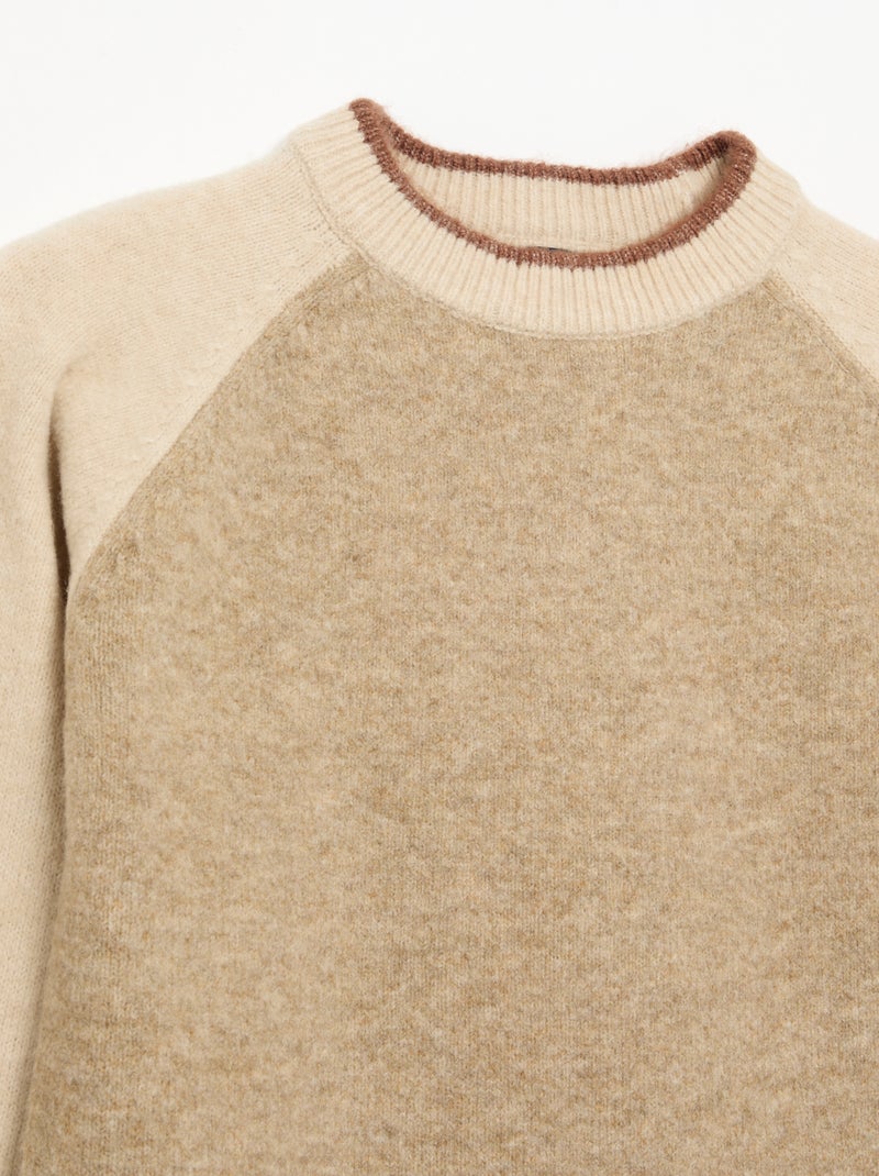 Pull avec manches contrastées Beige - Kiabi