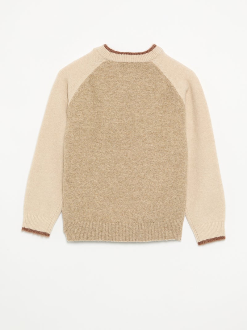 Pull avec manches contrastées Beige - Kiabi