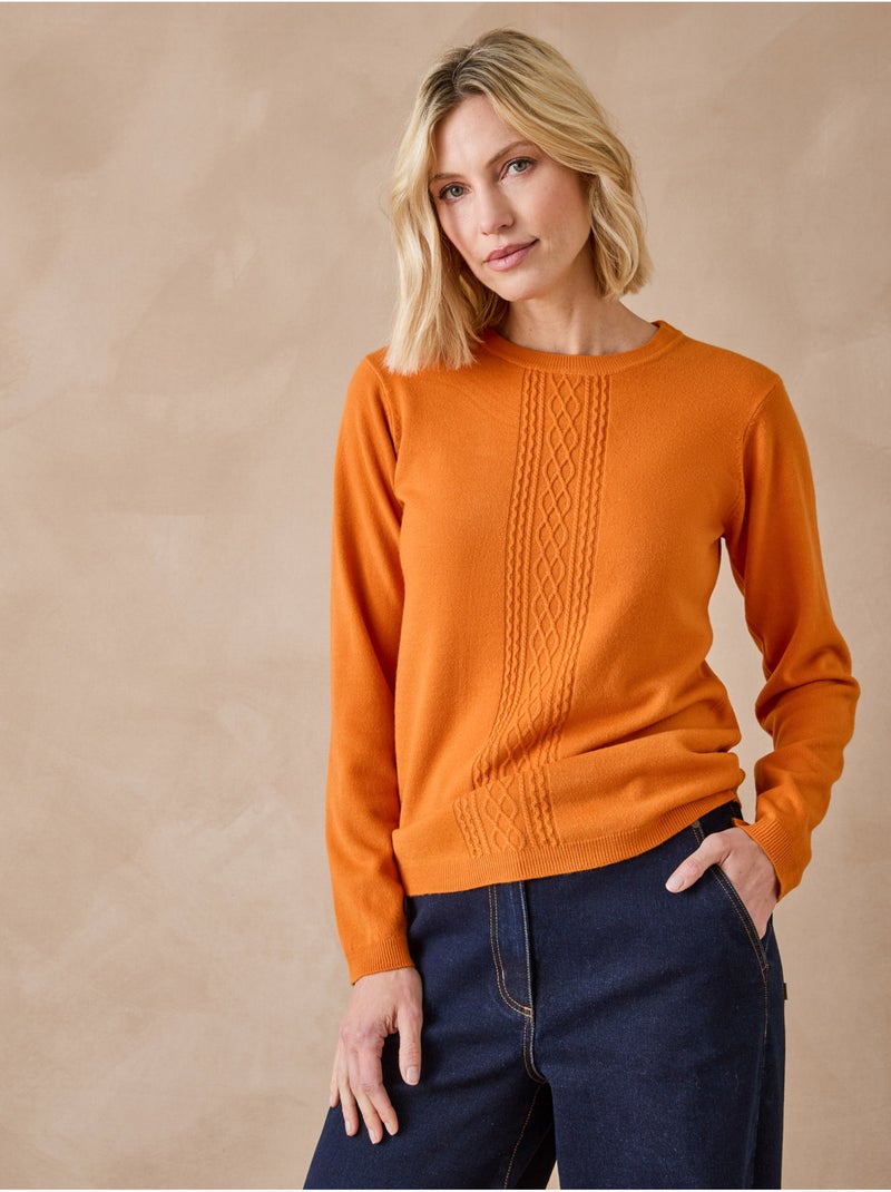 Pull avec torsades toucher doux - DAXON Marron noisette - Kiabi