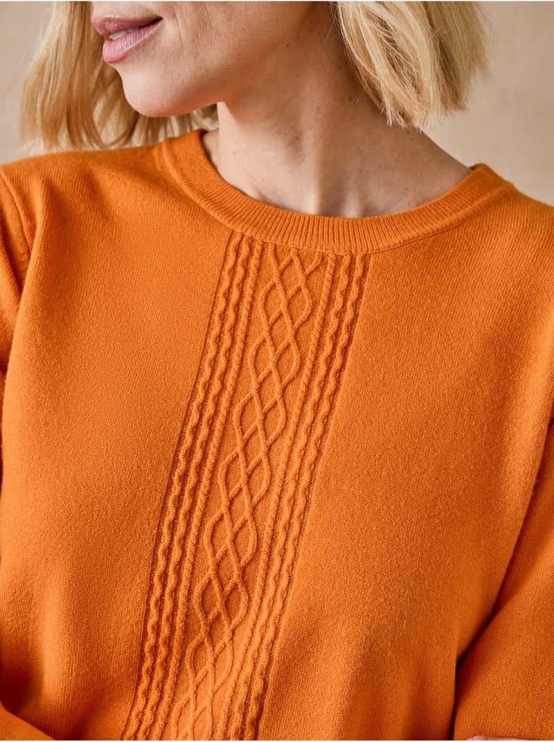 Pull avec torsades toucher doux - DAXON Marron noisette - Kiabi
