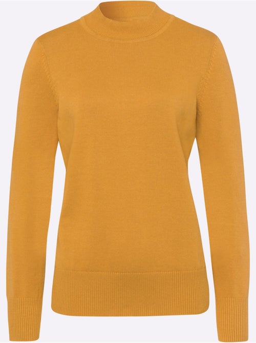 Pull basique à col montant en maille fine avec bords-côtes - taille standard - moda vilona - Kiabi Pull basique à col montant en maille fine avec bords-côtes - taille standard - moda vilona - Kiabi