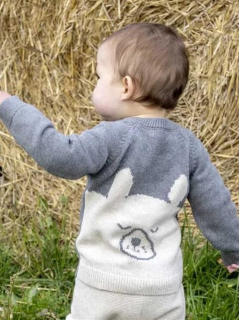 Pull Bébé Chien en Maille Bio Gris - Kiabi
