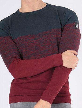 Pull bi-color col rond