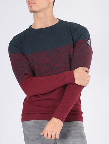Pull bi-color col rond