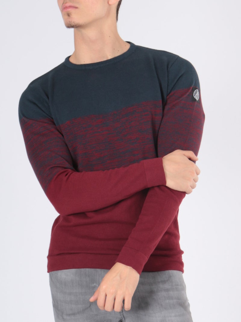 Pull bi-color col rond Bordeaux - Kiabi