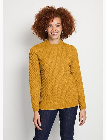 Pull chaud court col montant maille épaisse - Afibel