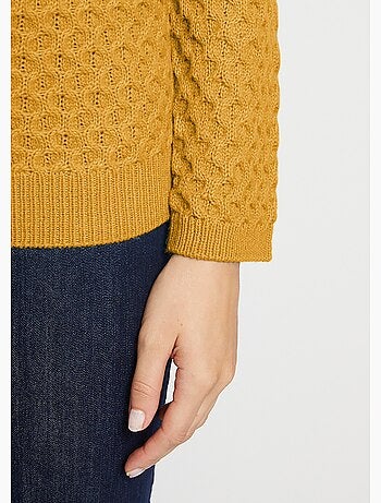 Pull chaud court col montant maille épaisse - Afibel