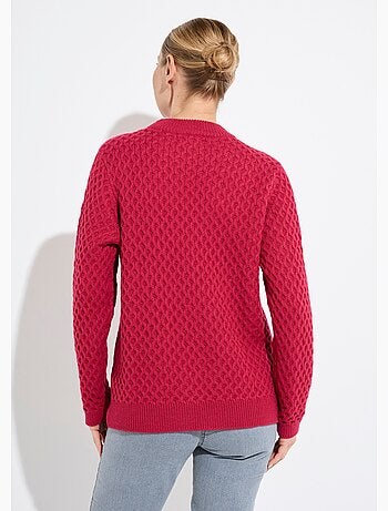 Pull chaud court col montant maille épaisse - Afibel