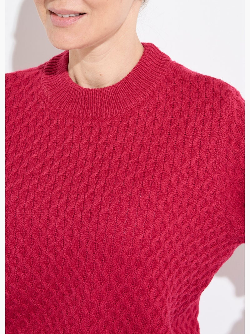 Pull chaud court col montant maille épaisse - Afibel Rose fushia - Kiabi