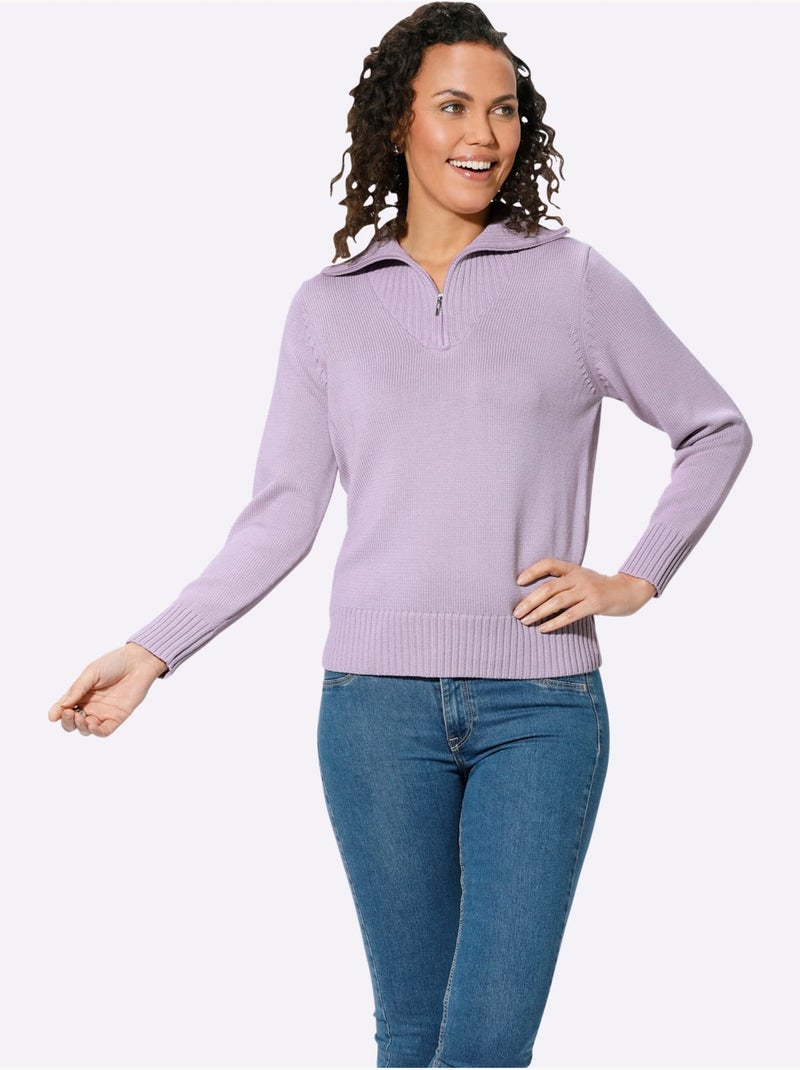 Pull col Camionneur Avec Coton - Taille Standard - Witt Parme - Kiabi