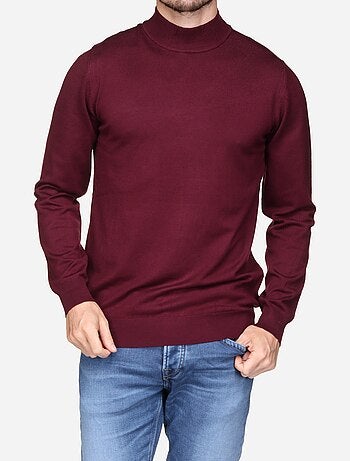 Pull col montant manches longues
