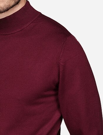 Pull col montant manches longues