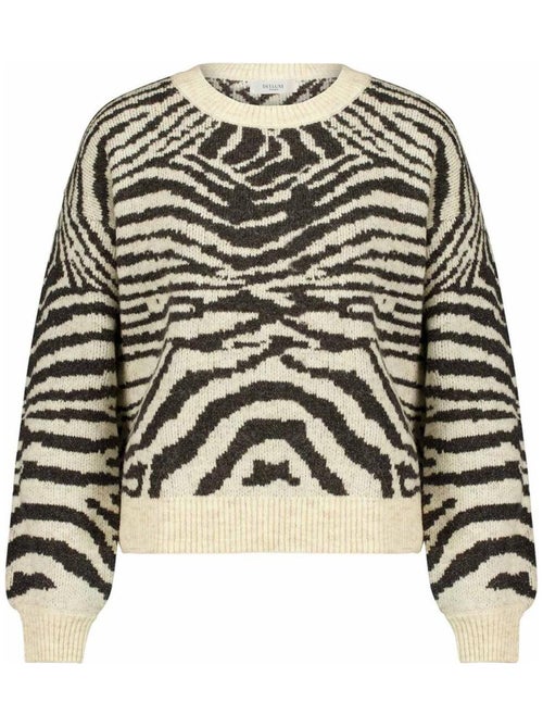 Pull col rond à imprimé animal zébré  'Deeluxe' - Kiabi