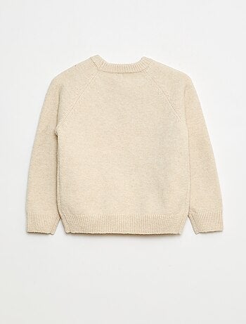 Pull col rond animé